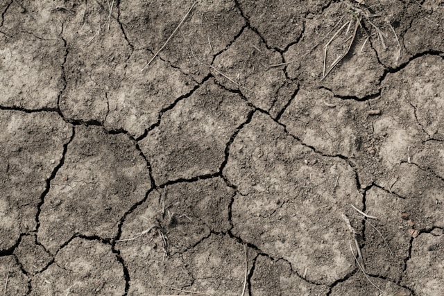 5-luckiest-days-by-zodiac-sign